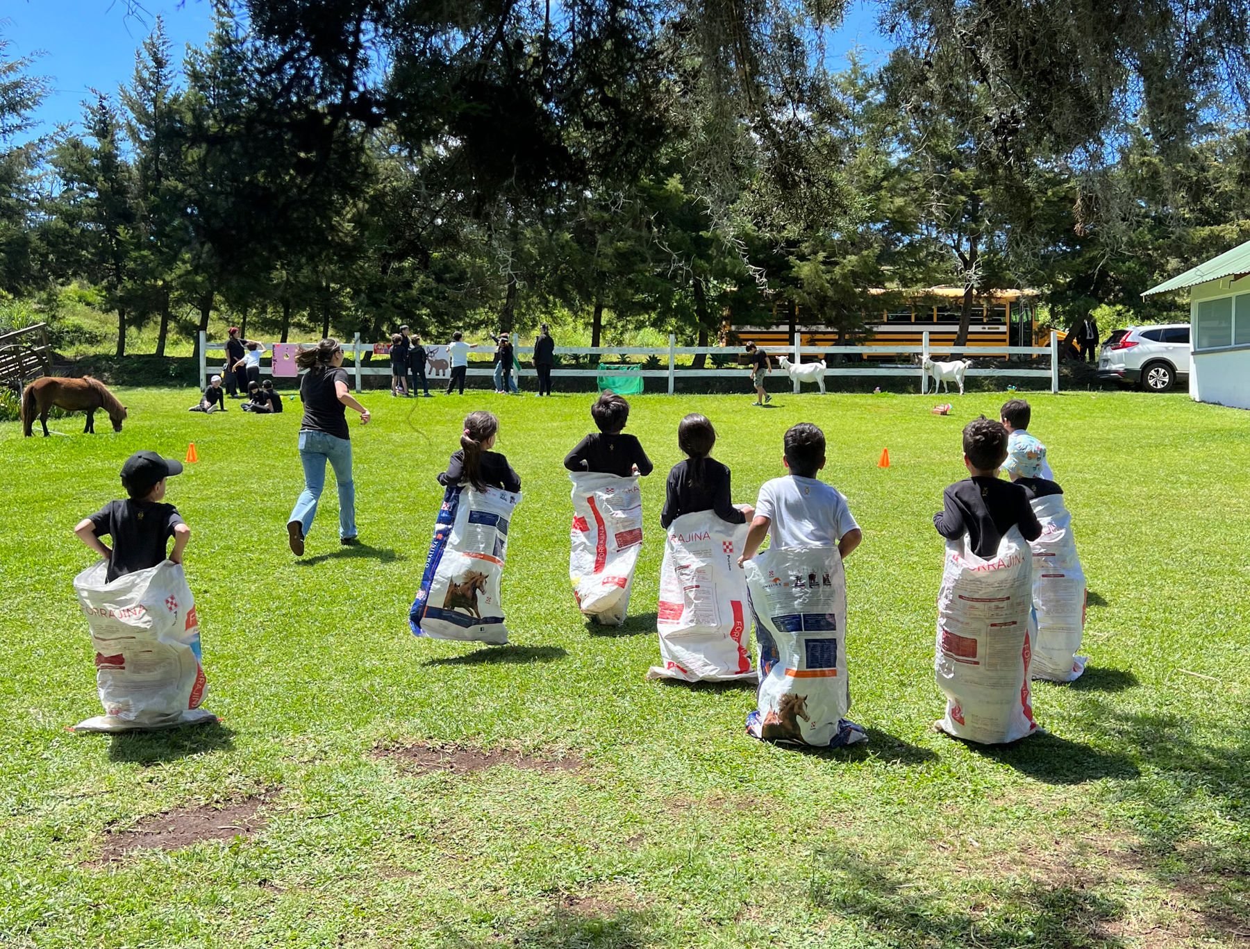 Campamento Camps Hélice de Colegio Hélice