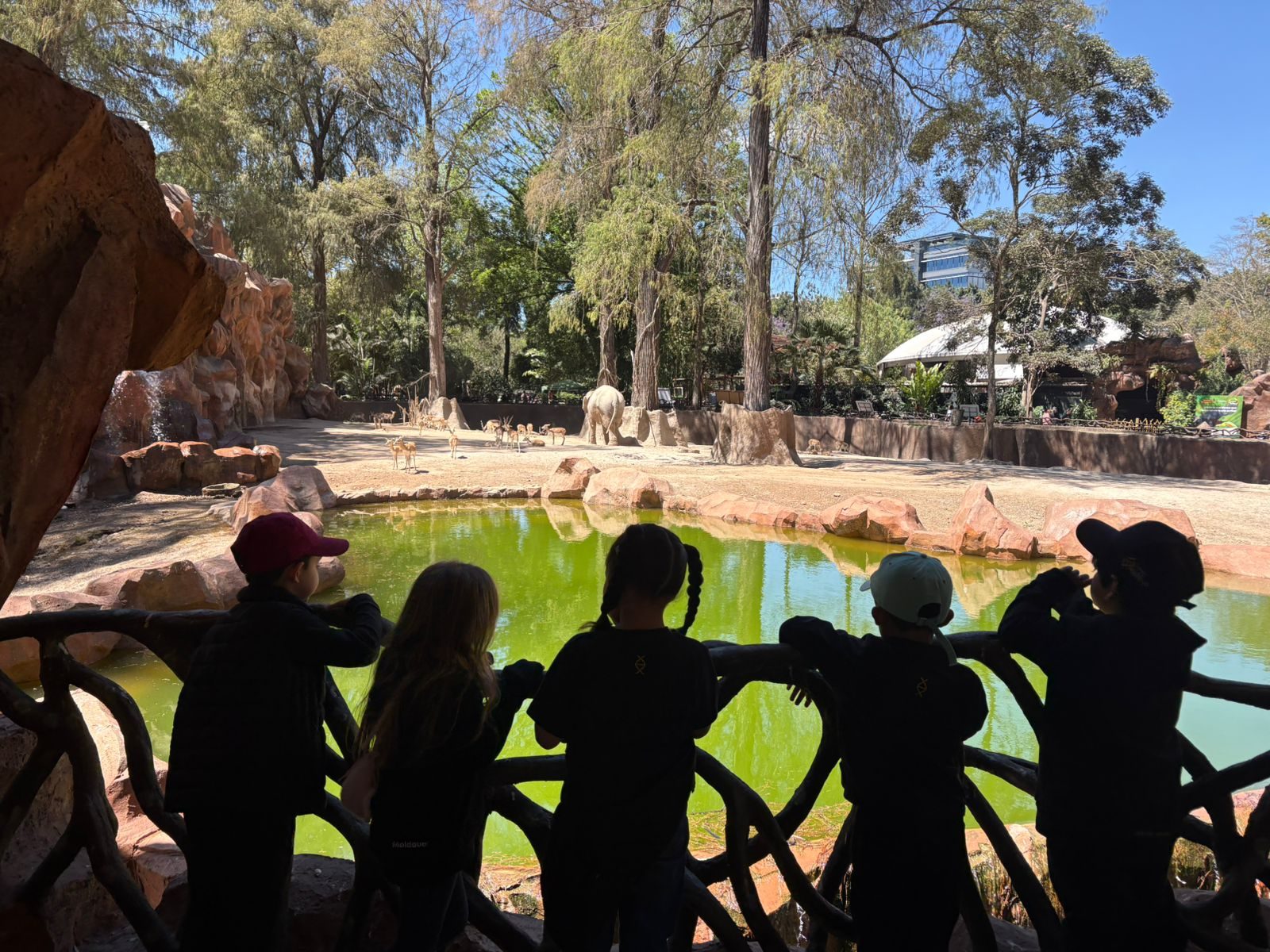 Alumnos de Colegio Hélice durante una excursión al zoológico